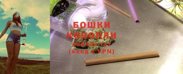 PSILOCYBIN Богданович